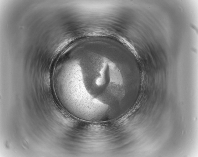 X0000093730298200710301049