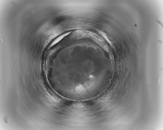 X0000093730299200710301049