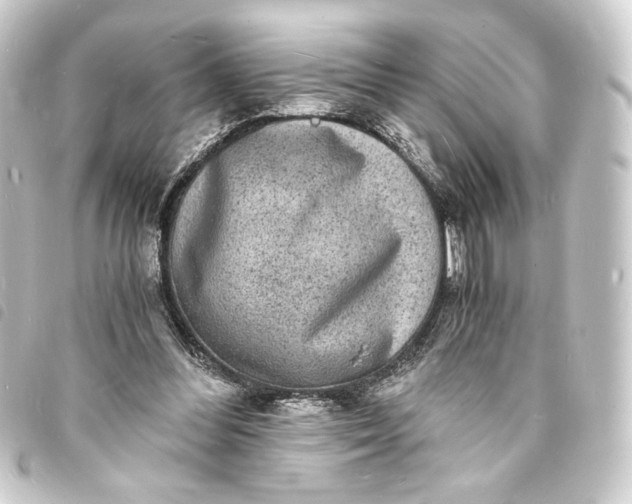 X0000093730300200710301049