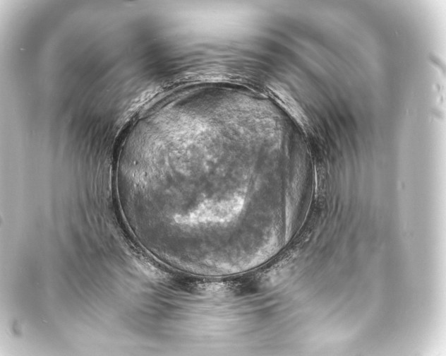 X0000093730301200710301049