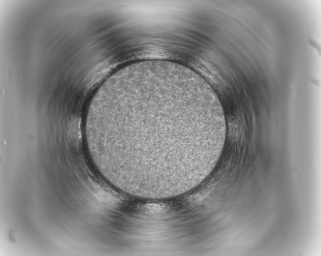 X0000093730302200710301049