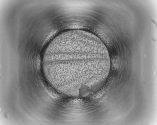 X0000093730304200710301049