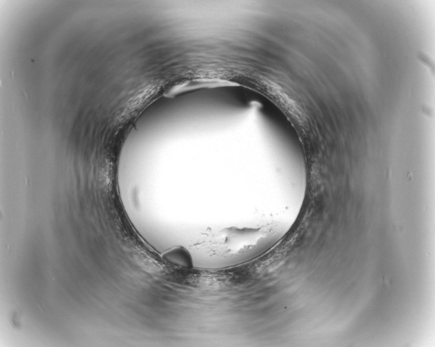 X0000093730305200710301049