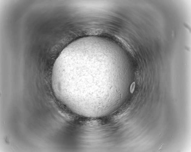 X0000093730307200710301049