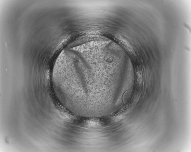 X0000093730308200710301049