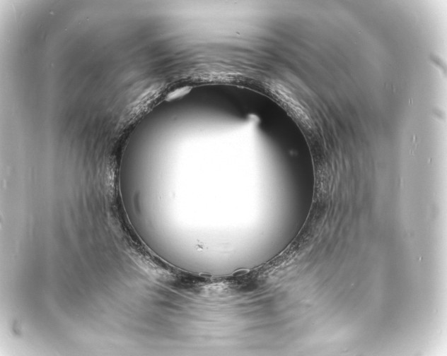 X0000093730309200710301049