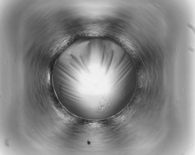 X0000093730310200710301049