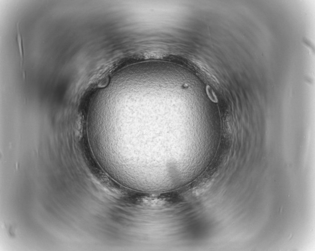 X0000093730311200710301049