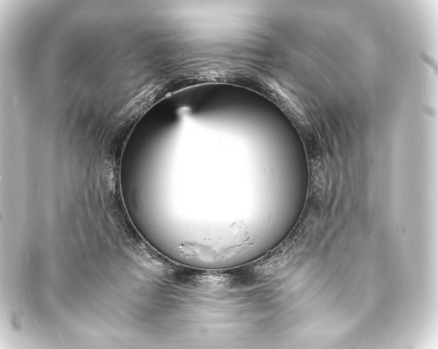 X0000093730313200710301049