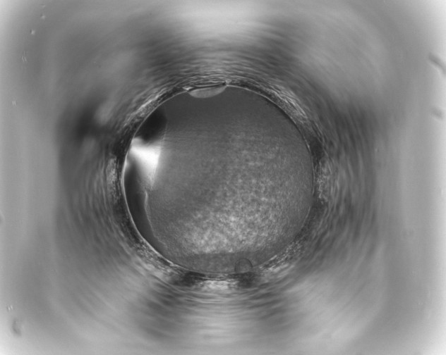 X0000093730314200710301049