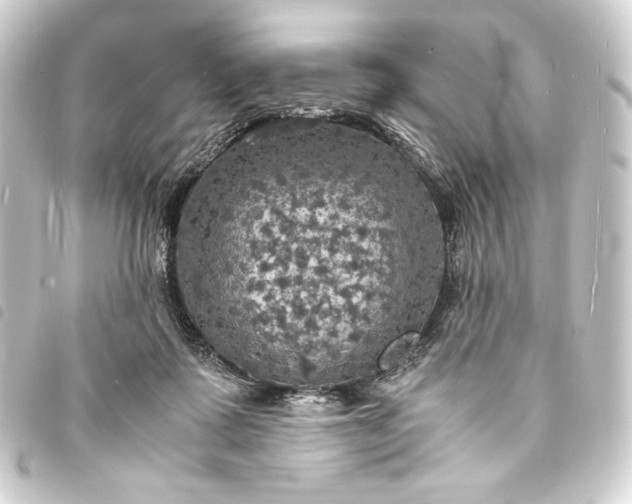 X0000093730315200710301049