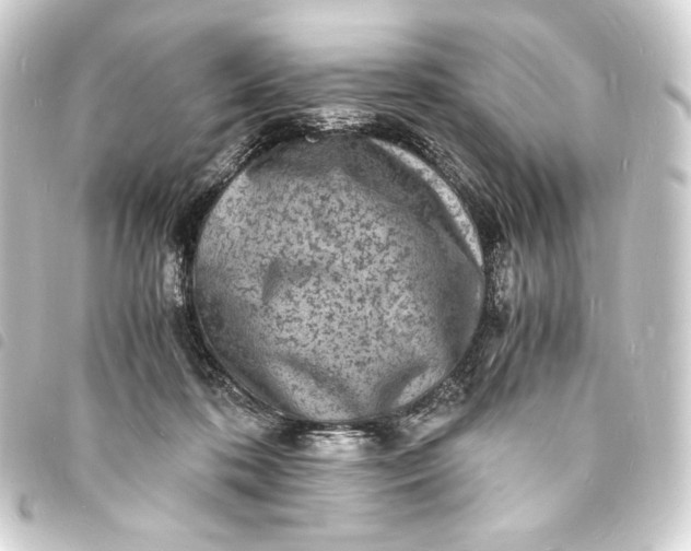 X0000093730316200710301049