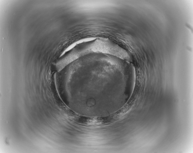 X0000093730319200710301049