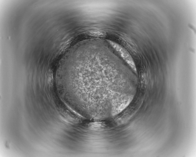 X0000093730320200710301049