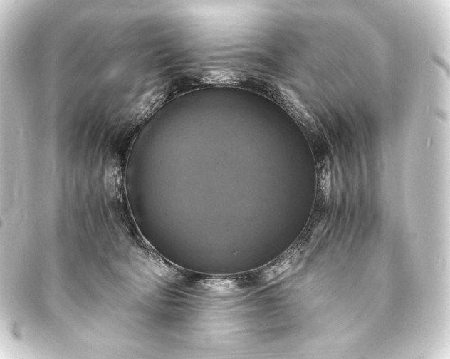 X0000093730322200710301049