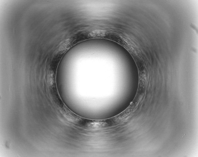 X0000093730323200710301049