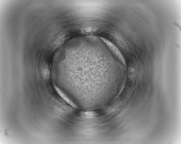 X0000093730324200710301049