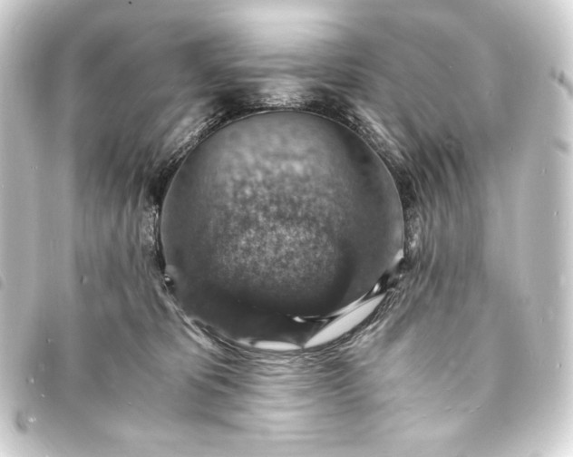 X0000093730325200710301049