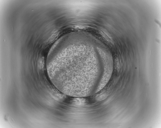 X0000093730328200710301049