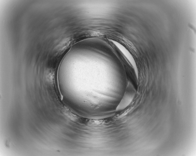 X0000093730329200710301049