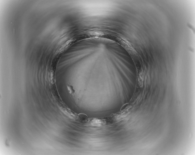 X0000093730330200710301049