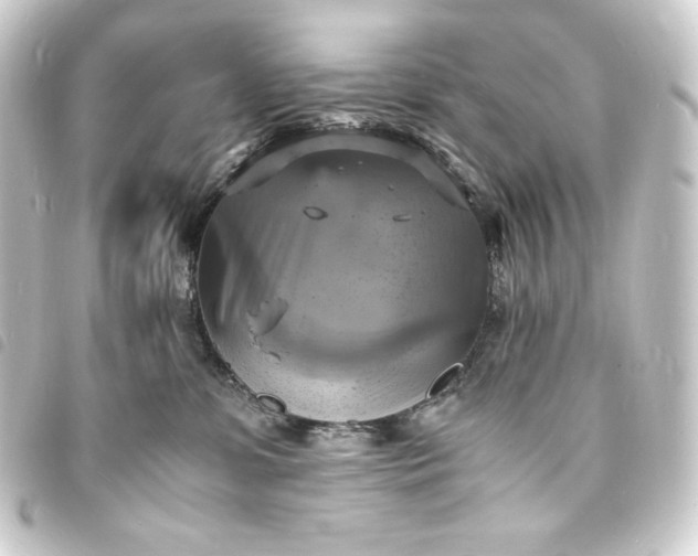 X0000093730331200710301049