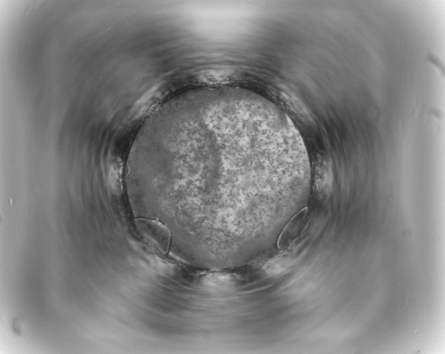 X0000093730332200710301049