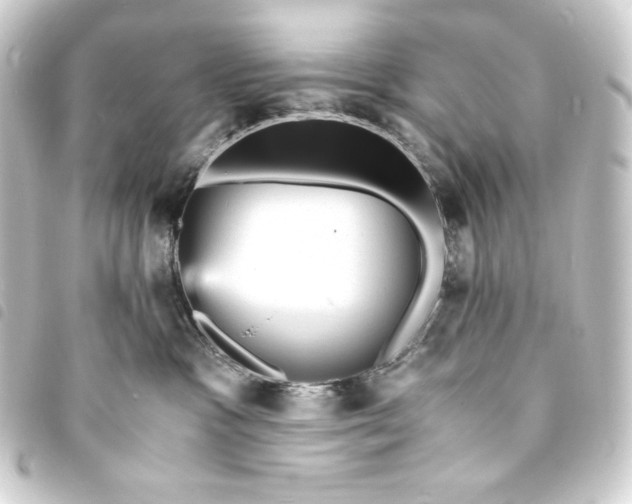 X0000093730333200710301049