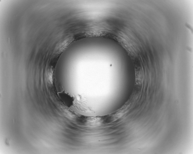 X0000093730334200710301049