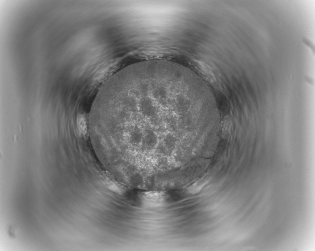 X0000093730335200710301049