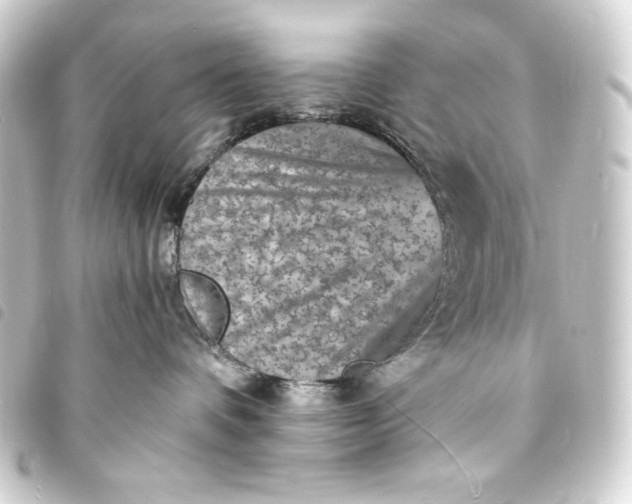 X0000093730336200710301049