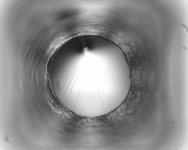 X0000093730338200710301048