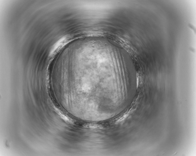 X0000093730339200710301048