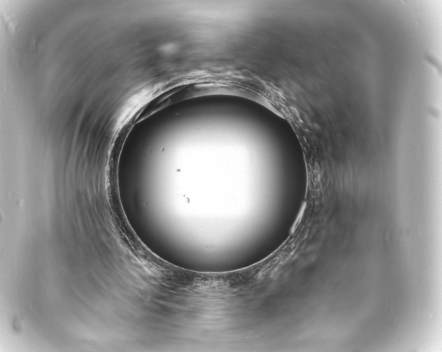 X0000093730340200710301048