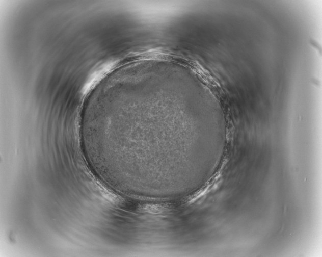 X0000093730341200710301048