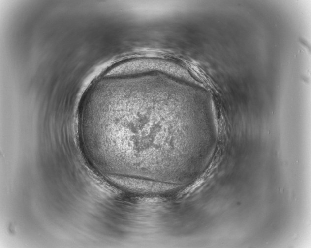 X0000093730342200710301048