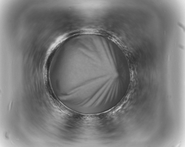 X0000093730343200710301048