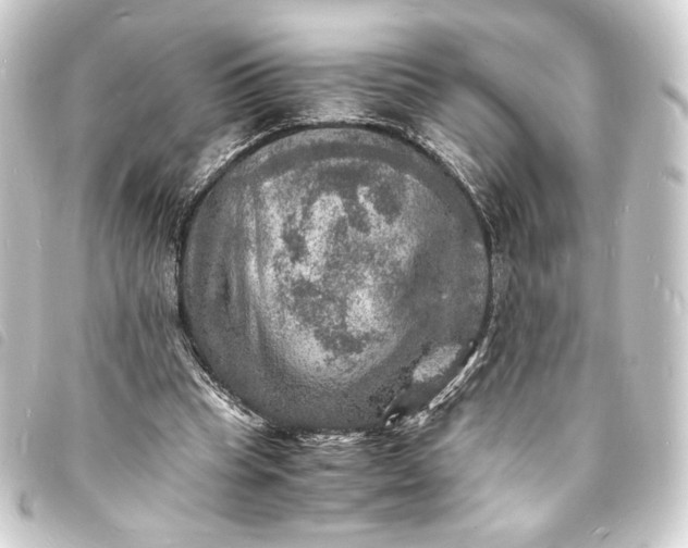 X0000093730345200710301048