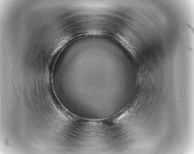 X0000093730347200710301048