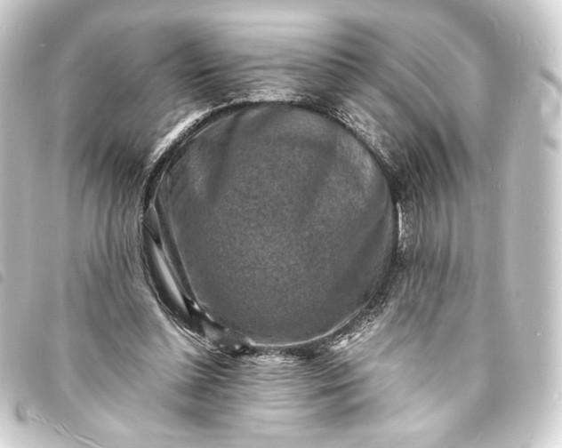 X0000093730348200710301048