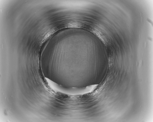 X0000093730349200710301048