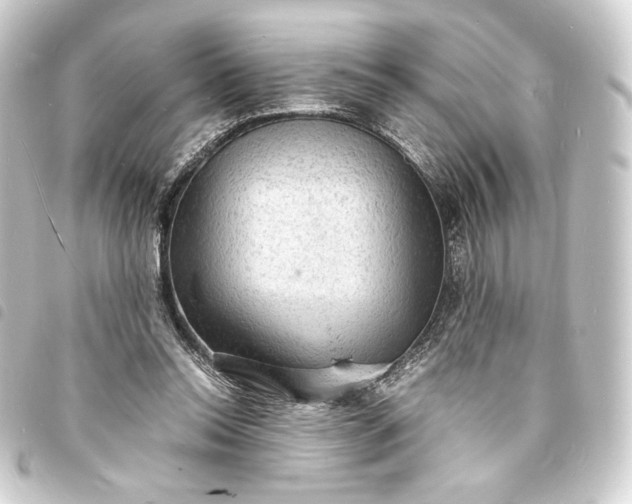 X0000093730350200710301048