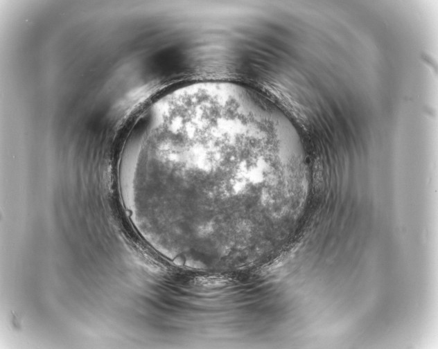 X0000093730351200710301048