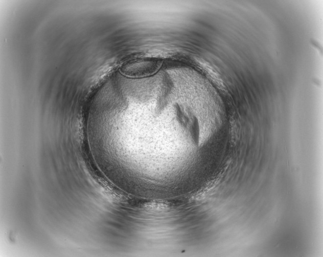 X0000093730354200710301048