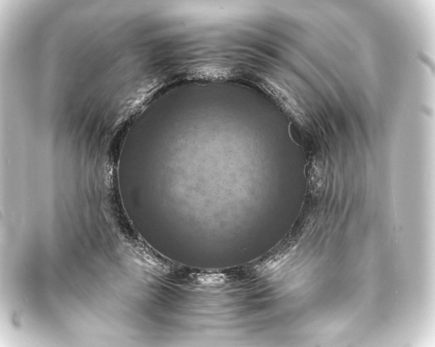 X0000093730355200710301048