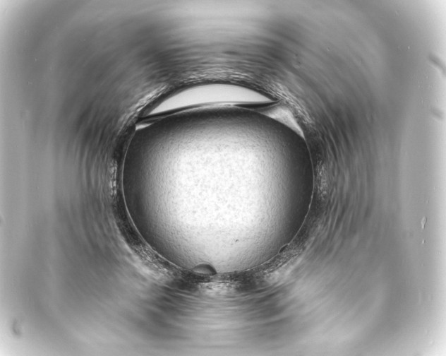 X0000093730356200710301048