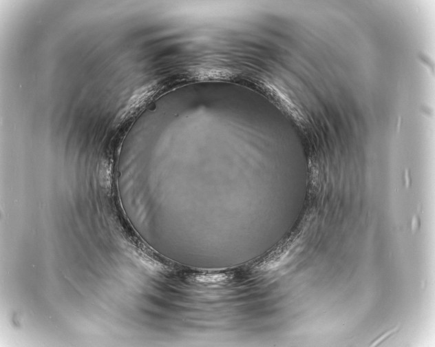 X0000093730357200710301048