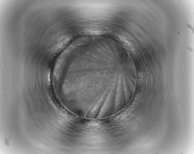 X0000093730358200710301048