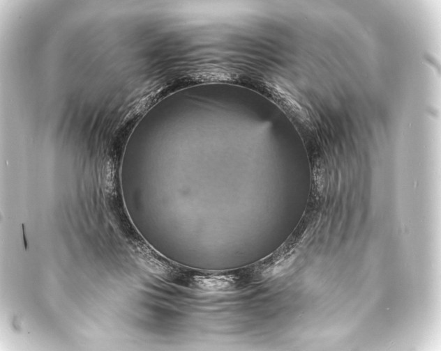 X0000093730359200710301048