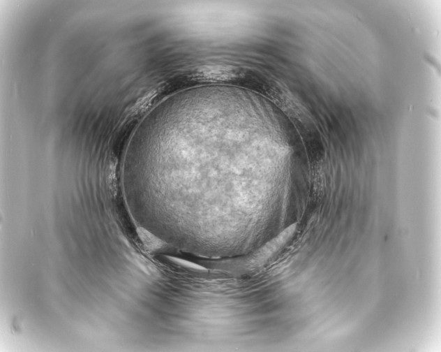 X0000093730360200710301048